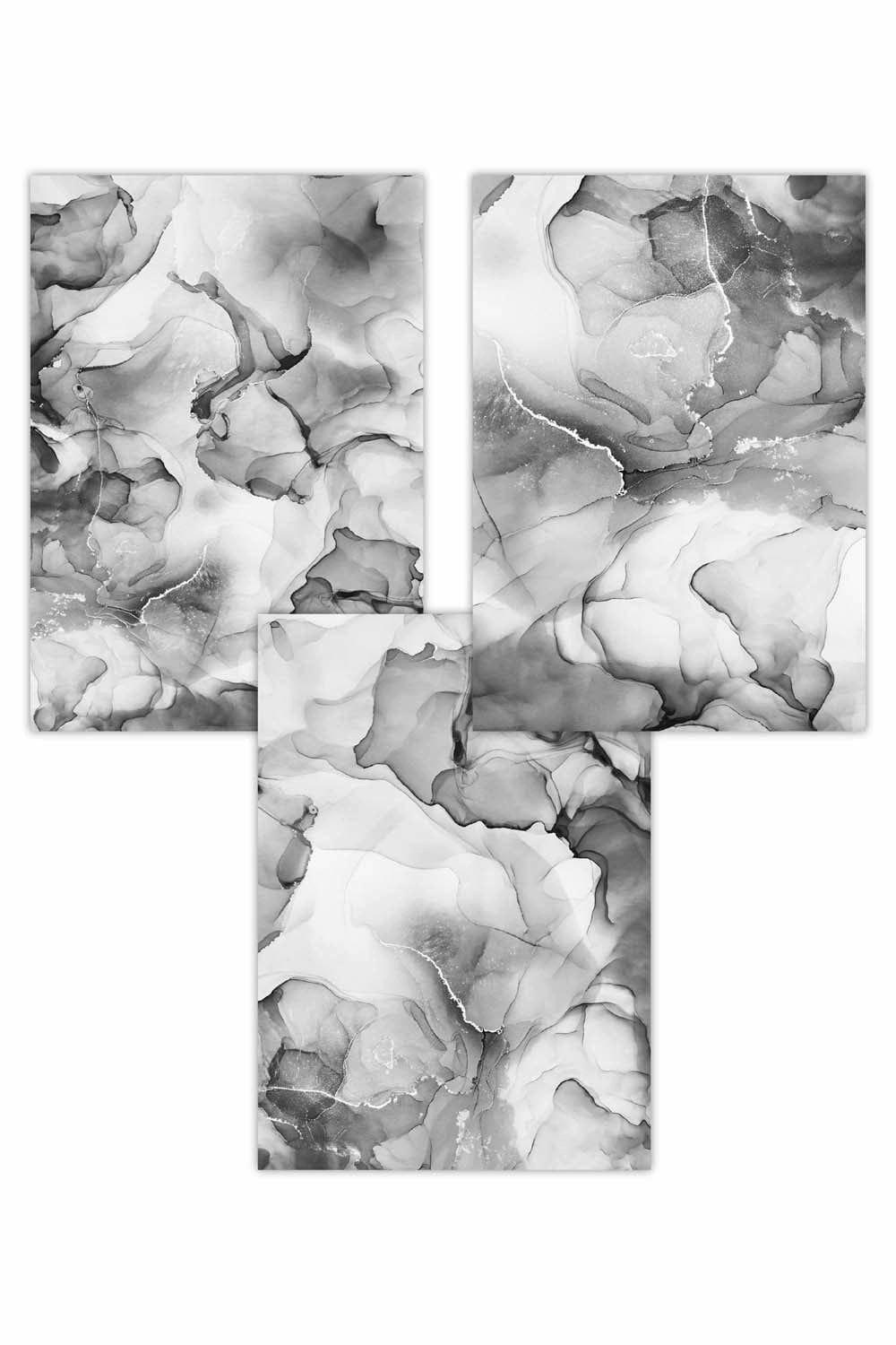 Set of 3 Abstract Floral Fluid in Grey Art Posters